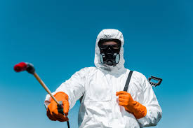 Real Estate Pest Inspections in Bridgeview, IL